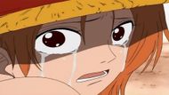 The Arlong Park Arc is home to one of the most iconic One Piece scenes (Image credit: Toei Animation)